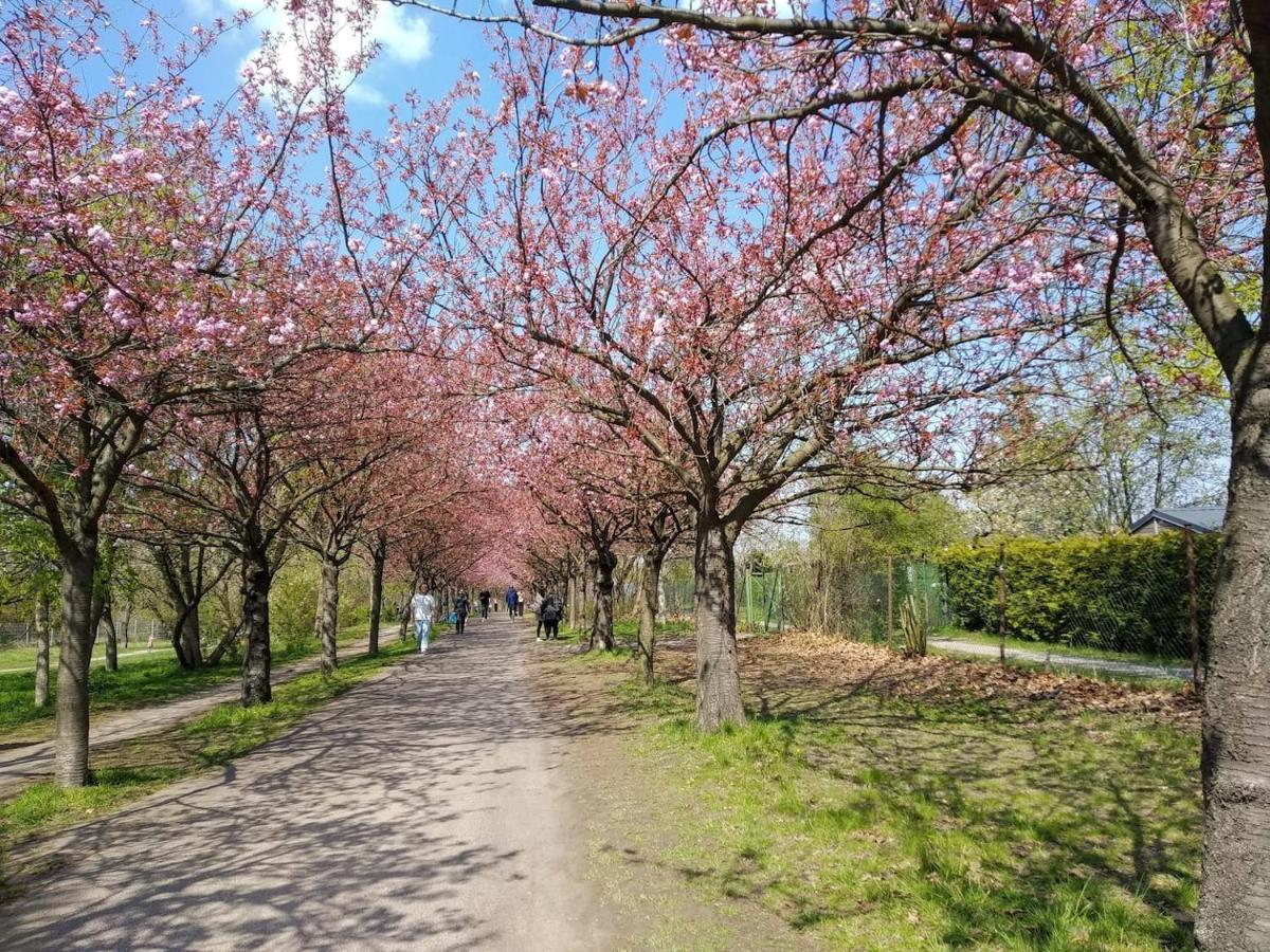 Quiet In Prenzlauer Berg Near Mauerpark * Berlin